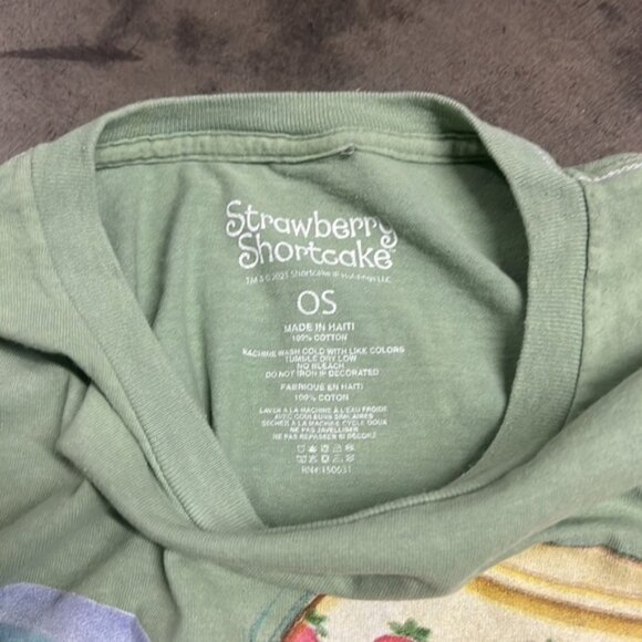 Strawberry Shortcake Rainbow Group Graphic One Size Oversized Women Green Tee - Picture 3 of 3
